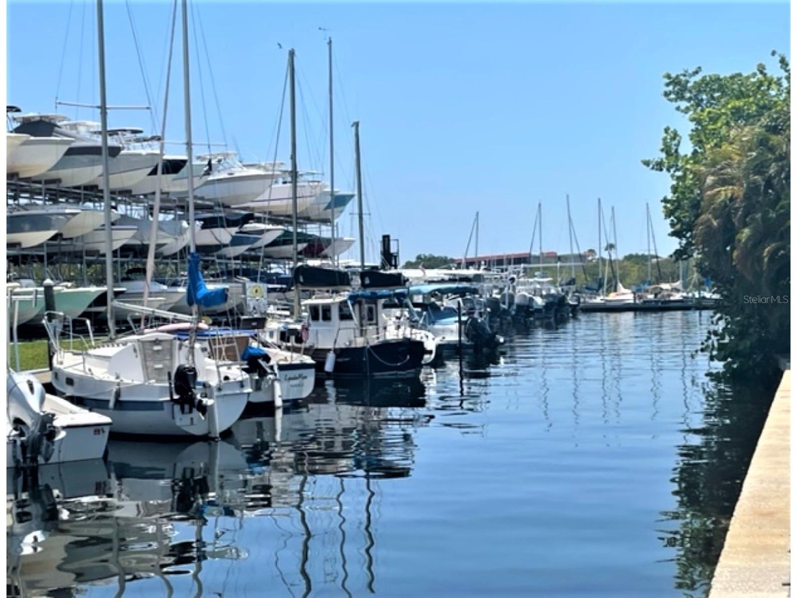 946 Virginia Street #104 Dunedin FL 34698 TB8484199 image56