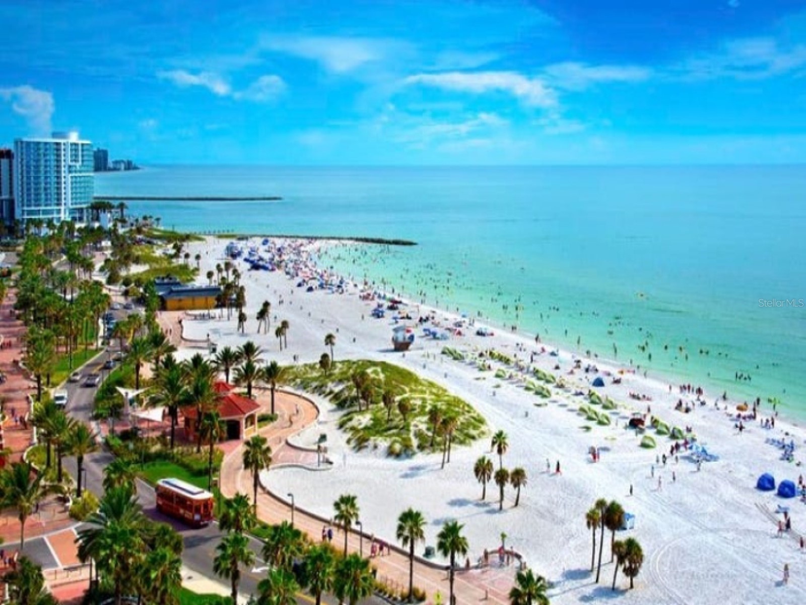 946 Virginia Street #104 Dunedin FL 34698 TB8484199 image59