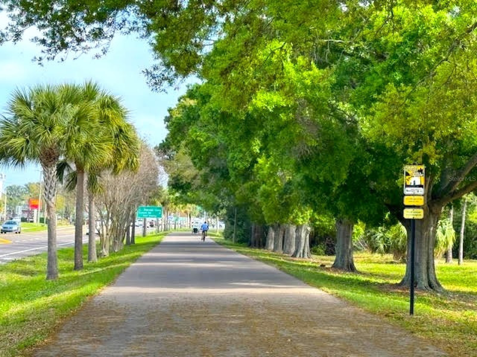 946 Virginia Street #104 Dunedin FL 34698 TB8484199 image62