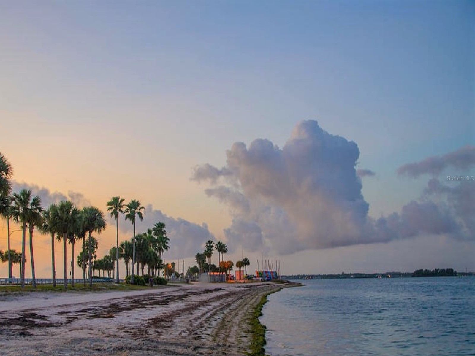 946 Virginia Street #104 Dunedin FL 34698 TB8484199 image63