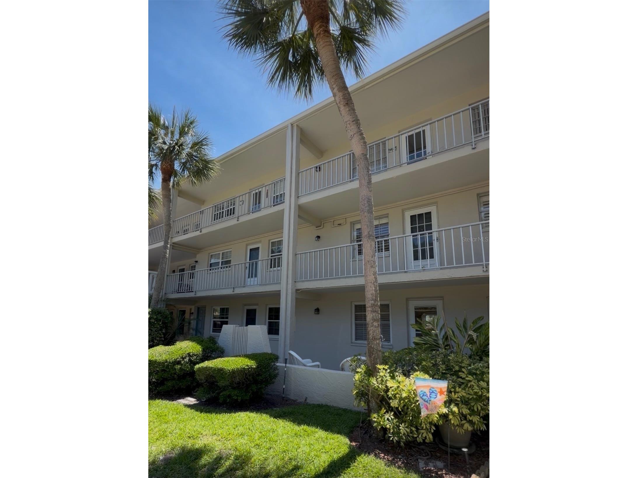 946 Virginia Street #107 Dunedin FL 34698 TB8504384 image1