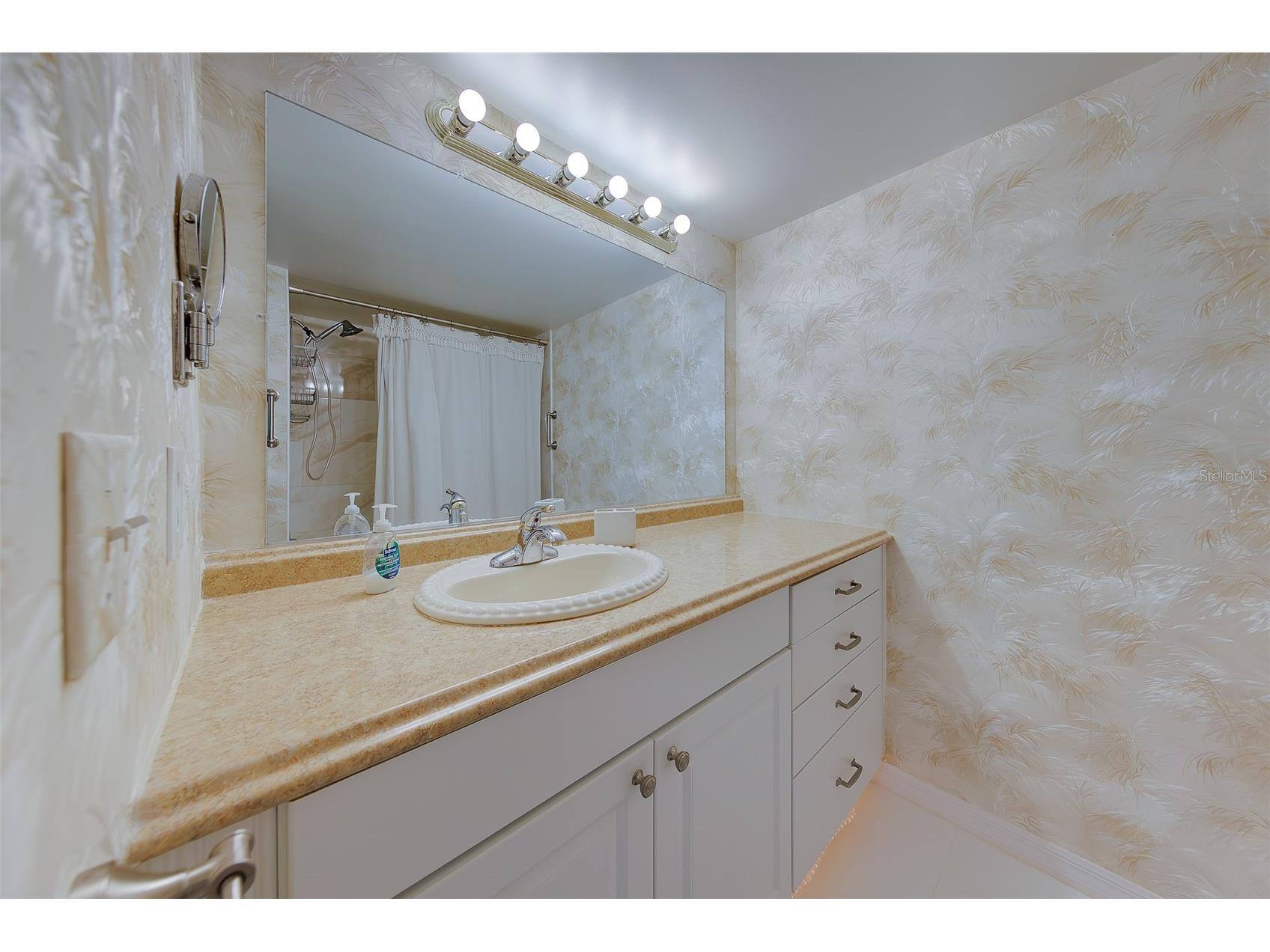946 Virginia Street #107 Dunedin FL 34698 TB8504384 image19