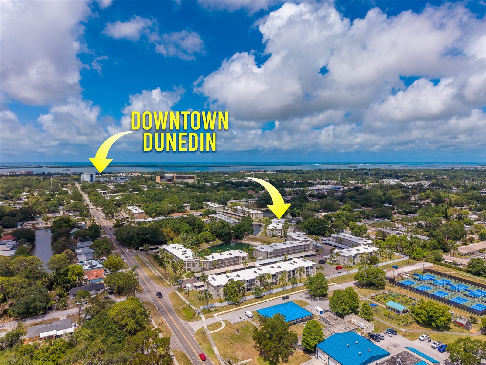 946 Virginia Street #107 Dunedin FL 34698 TB8504384 image3