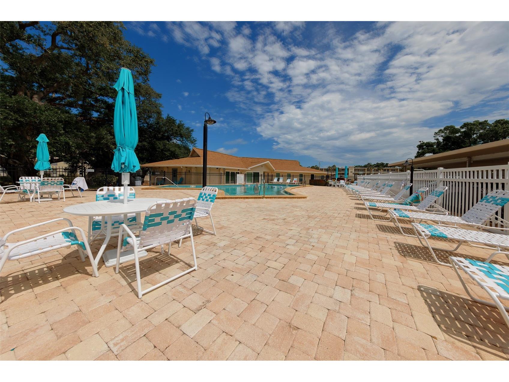 946 Virginia Street #107 Dunedin FL 34698 TB8504384 image33