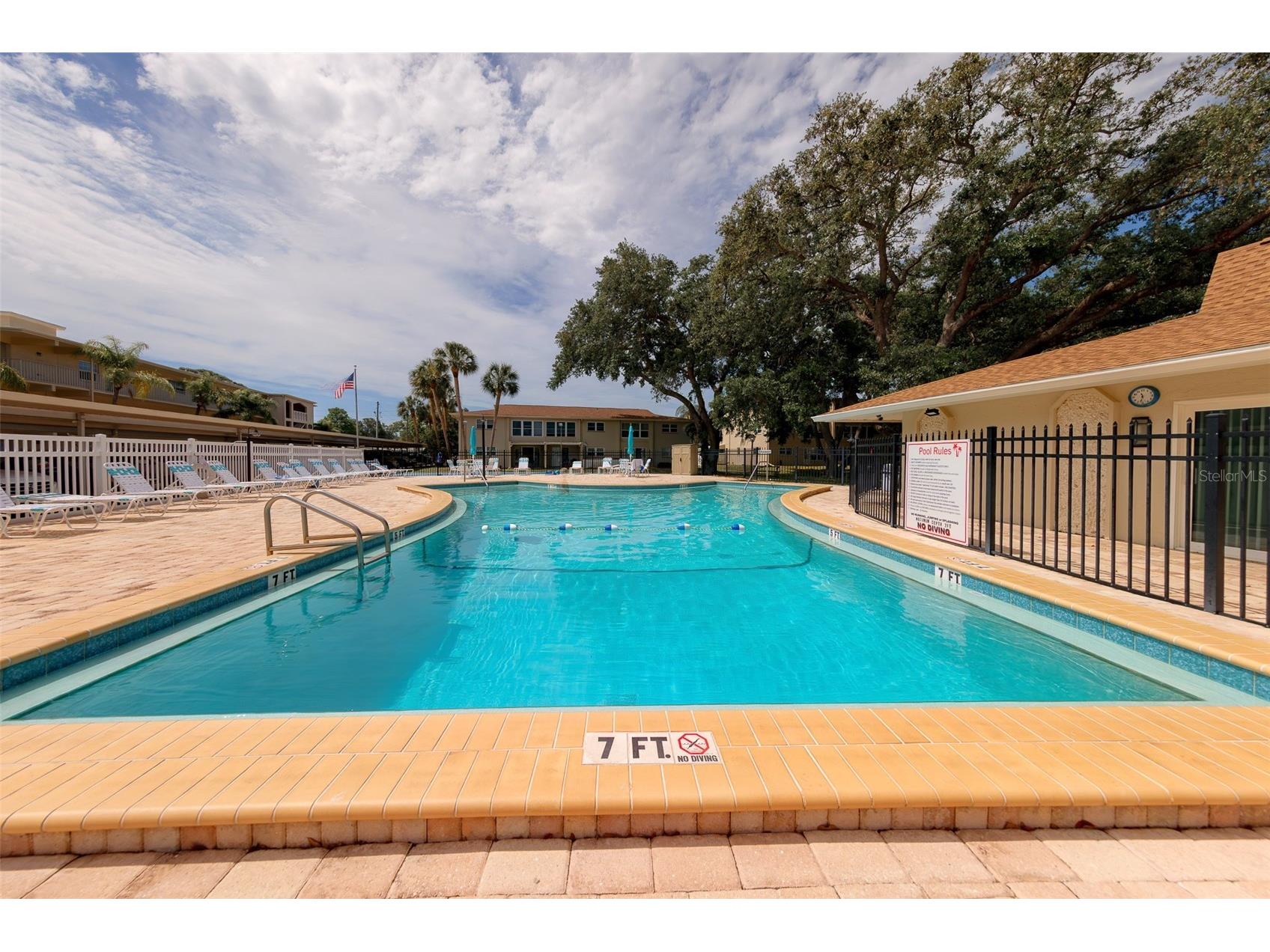 946 Virginia Street #107 Dunedin FL 34698 TB8504384 image4