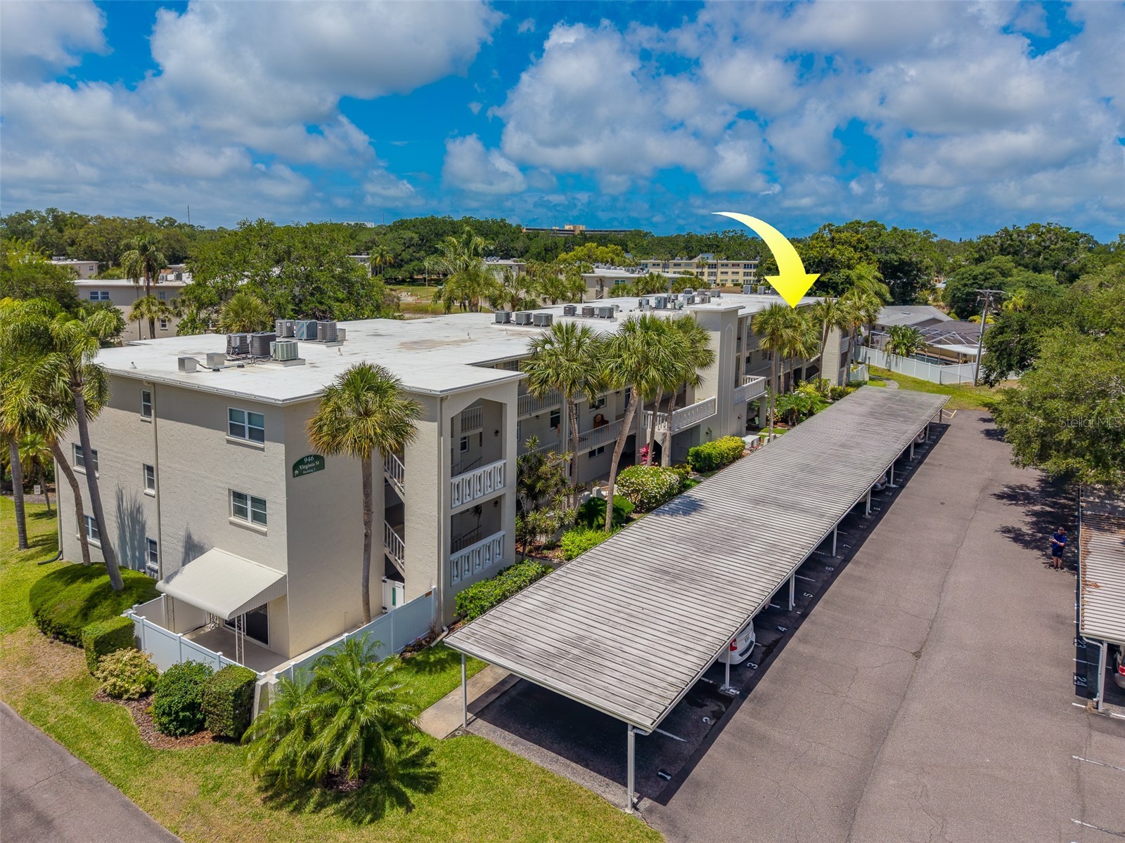 946 Virginia Street #107 Dunedin FL 34698 TB8504384 image41