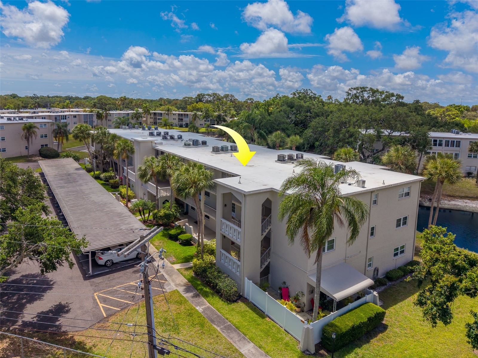 946 Virginia Street #107 Dunedin FL 34698 TB8504384 image42