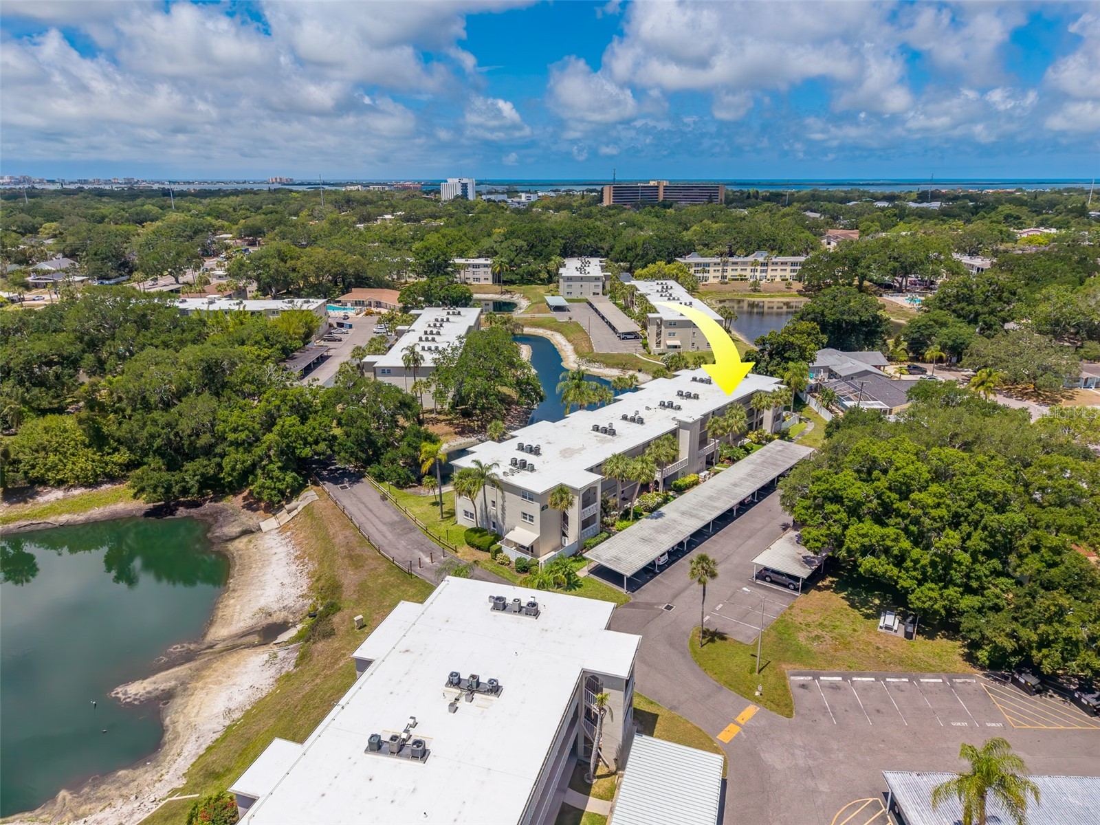 946 Virginia Street #107 Dunedin FL 34698 TB8504384 image43