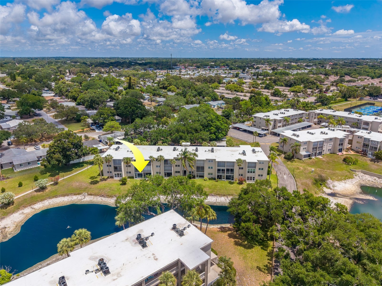 946 Virginia Street #107 Dunedin FL 34698 TB8504384 image46