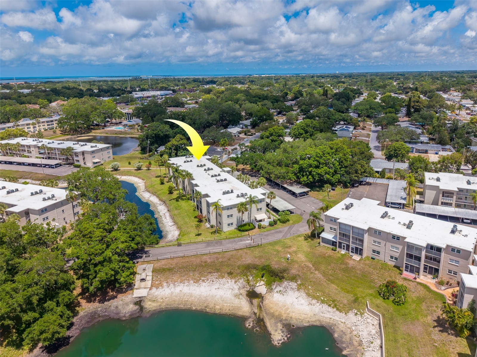 946 Virginia Street #107 Dunedin FL 34698 TB8504384 image47