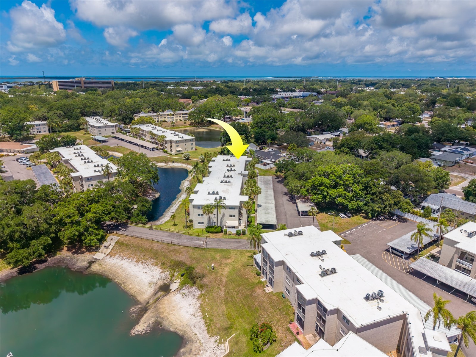 946 Virginia Street #107 Dunedin FL 34698 TB8504384 image48