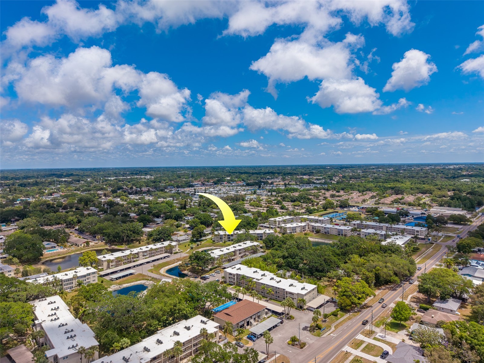 946 Virginia Street #107 Dunedin FL 34698 TB8504384 image49