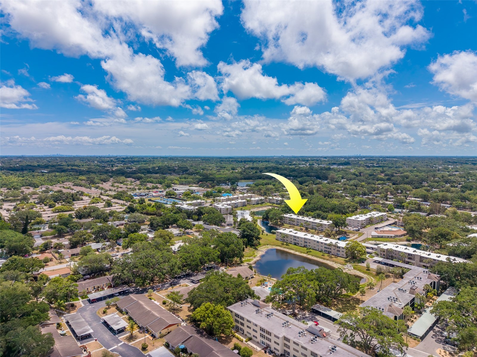 946 Virginia Street #107 Dunedin FL 34698 TB8504384 image51