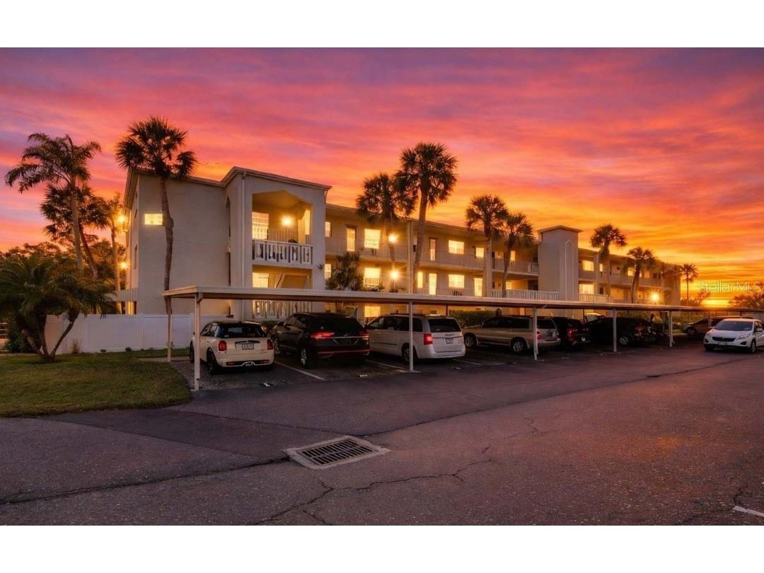 946 Virginia Street #201 Dunedin FL 34698 TB8466338 image1
