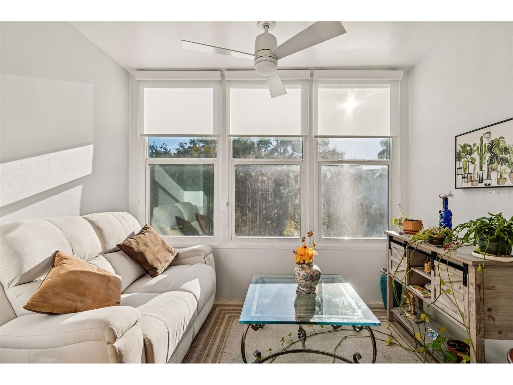 946 Virginia Street #201 Dunedin FL 34698 TB8466338 image21