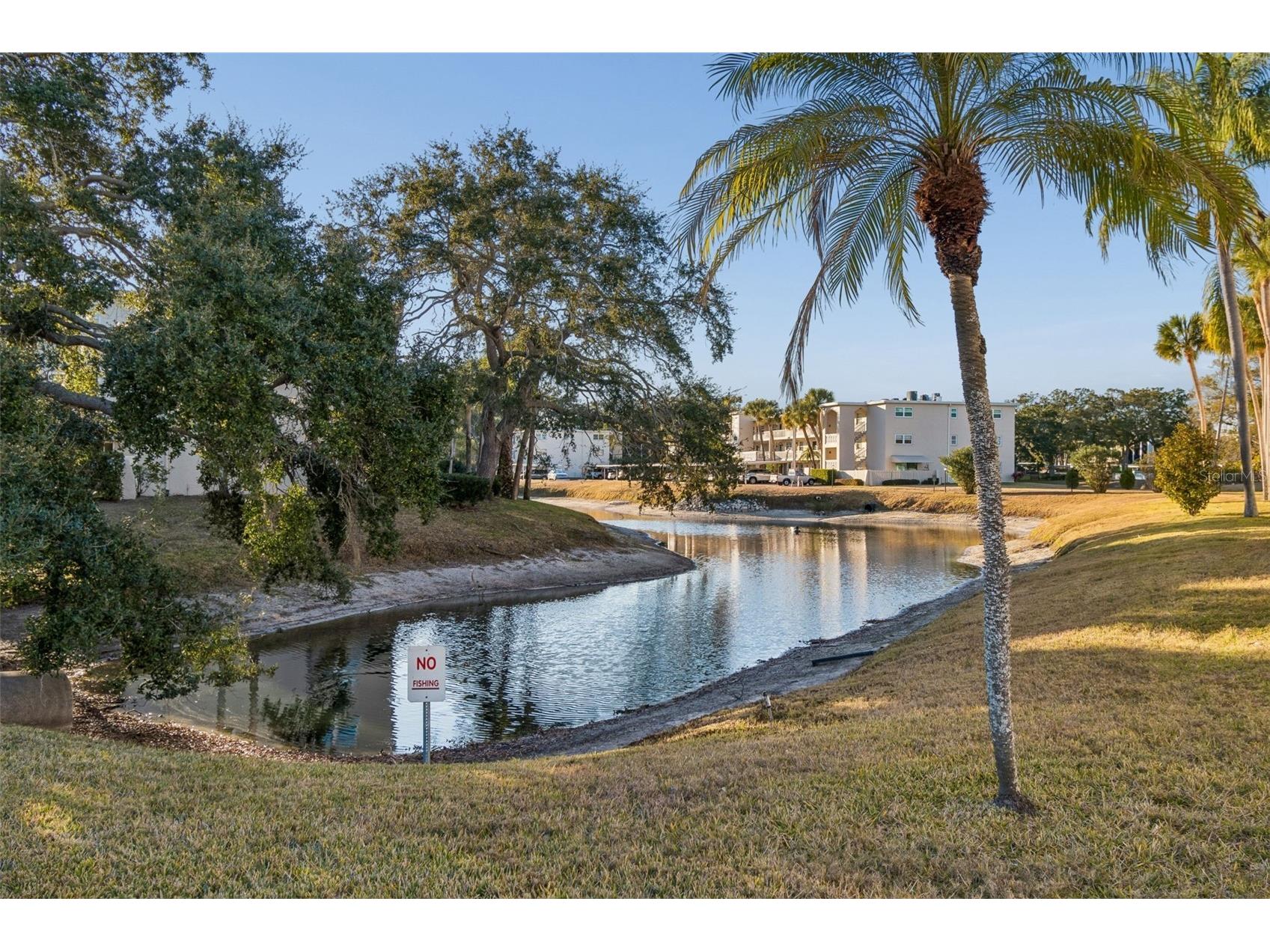 946 Virginia Street #201 Dunedin FL 34698 TB8466338 image22