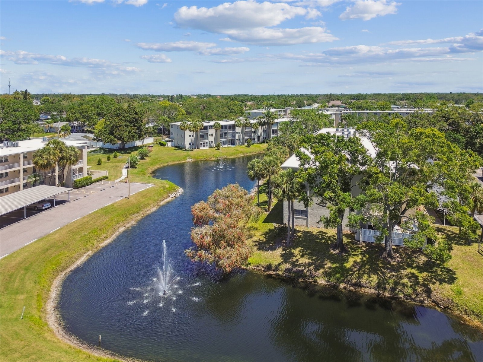 946 Virginia Street #201 Dunedin FL 34698 TB8466338 image23