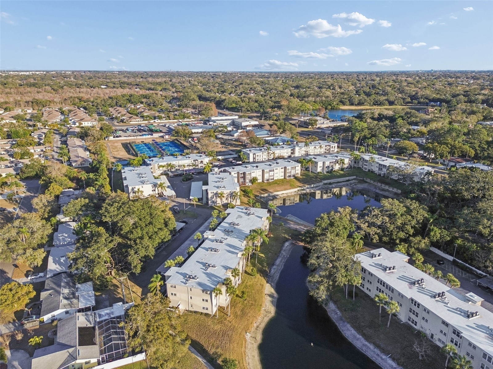 946 Virginia Street #201 Dunedin FL 34698 TB8466338 image24