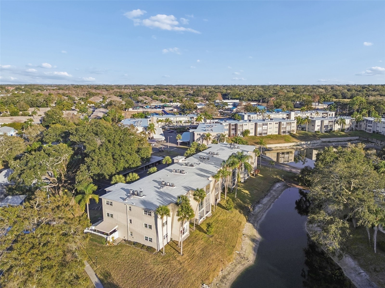 946 Virginia Street #201 Dunedin FL 34698 TB8466338 image25