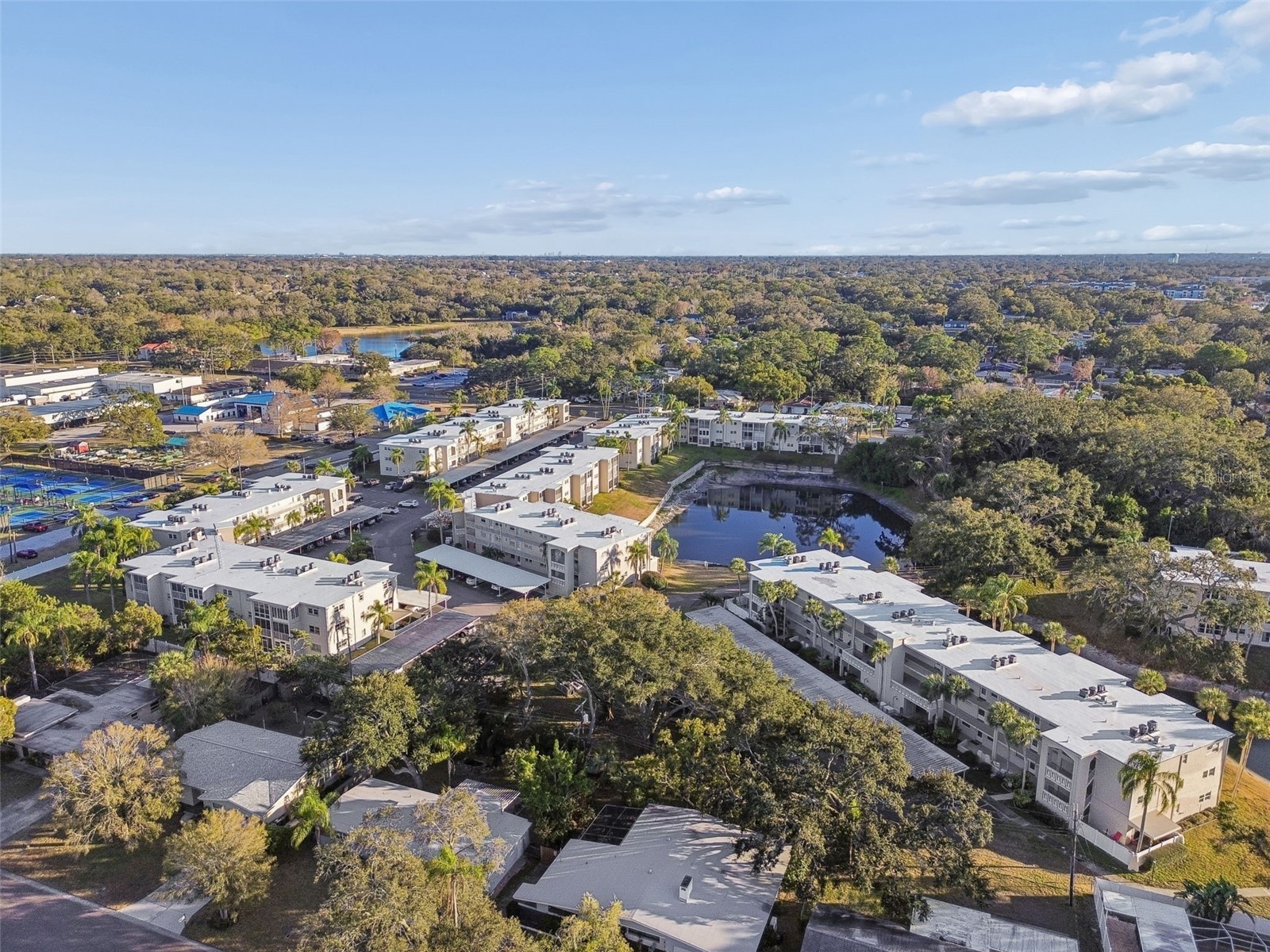 946 Virginia Street #201 Dunedin FL 34698 TB8466338 image26