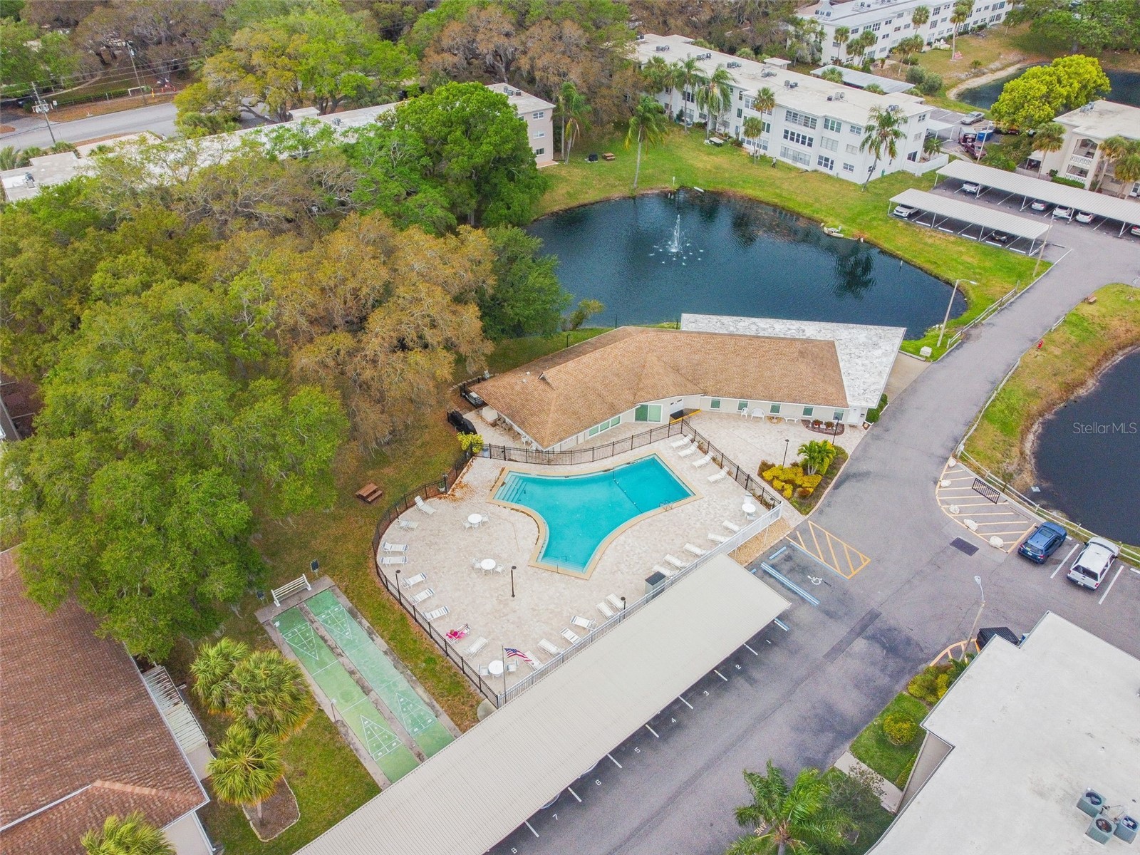 946 Virginia Street #201 Dunedin FL 34698 TB8466338 image27