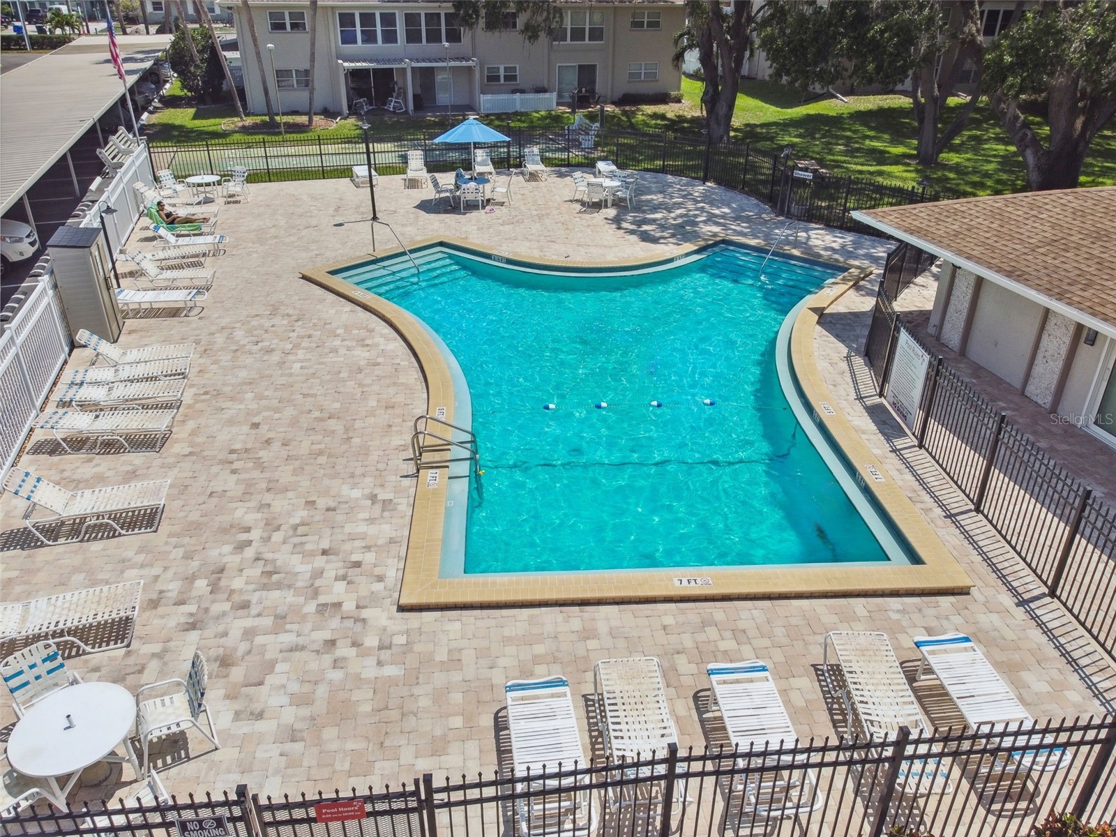 946 Virginia Street #201 Dunedin FL 34698 TB8466338 image28
