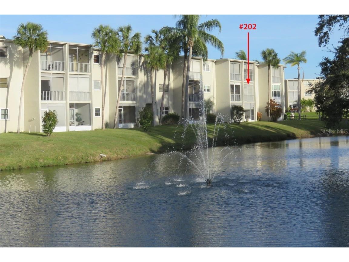 946 Virginia Street #202 Dunedin FL 34698 U8182561 image1