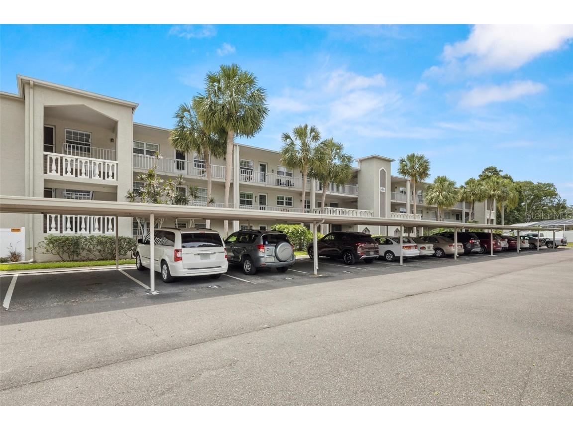 946 Virginia Street #207 Dunedin FL 34698 U8198107 image1