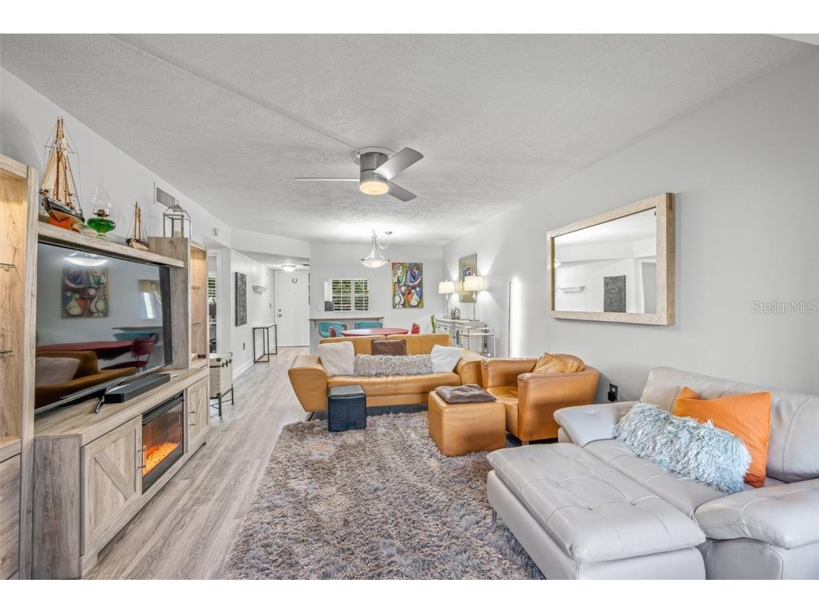 946 Virginia Street #207 Dunedin FL 34698 TB8416505 image16