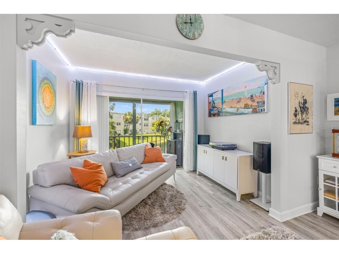 946 Virginia Street #207 Dunedin FL 34698 TB8416505 image17