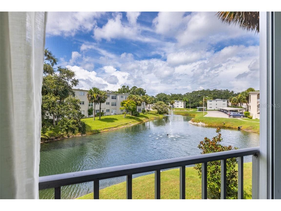 946 Virginia Street #207 Dunedin FL 34698 TB8416505 image28