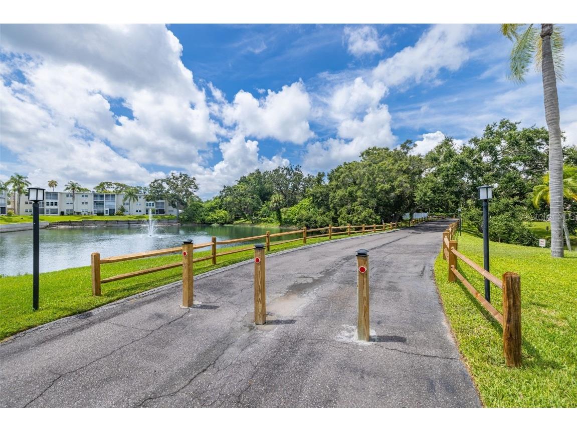 946 Virginia Street #207 Dunedin FL 34698 TB8416505 image32