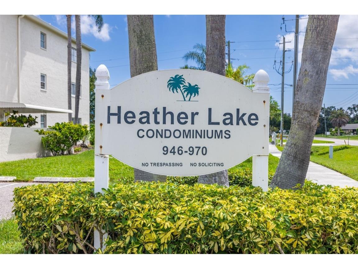 946 Virginia Street #207 Dunedin FL 34698 TB8416505 image34