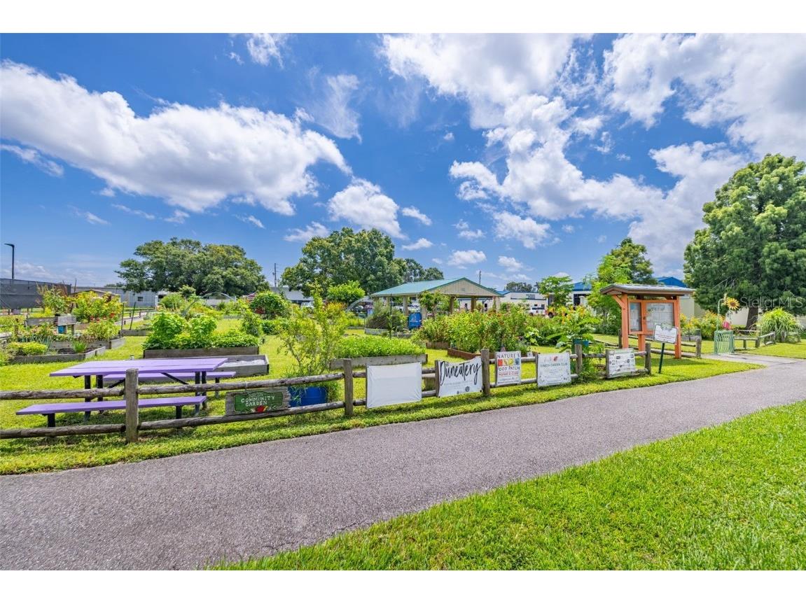 946 Virginia Street #207 Dunedin FL 34698 TB8416505 image36