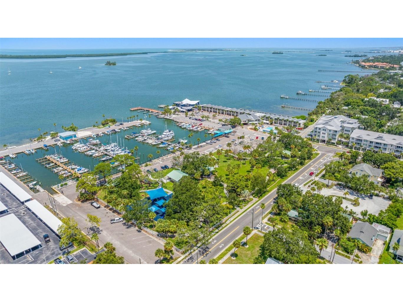 946 Virginia Street #207 Dunedin FL 34698 TB8416505 image61