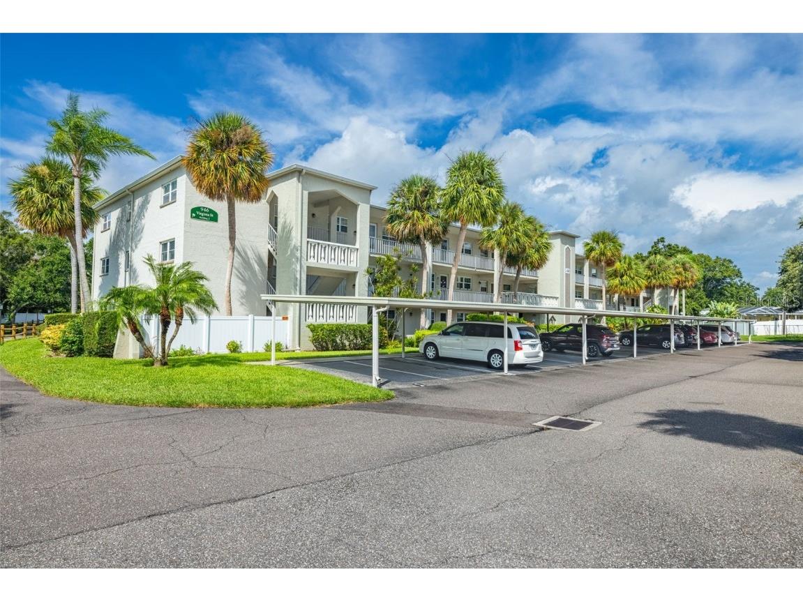 946 Virginia Street #207 Dunedin FL 34698 TB8455147 image1