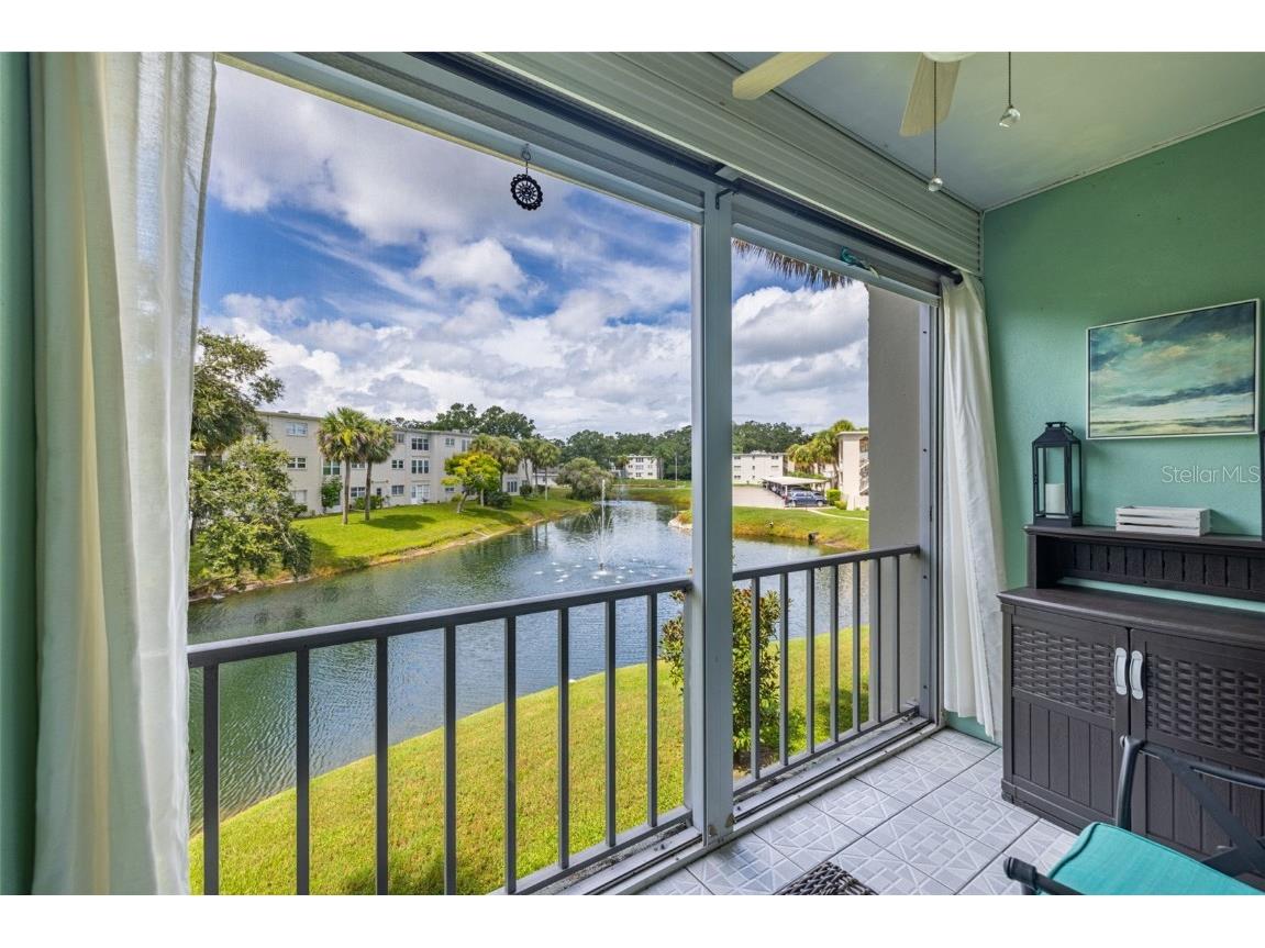 946 Virginia Street #207 Dunedin FL 34698 TB8455147 image18