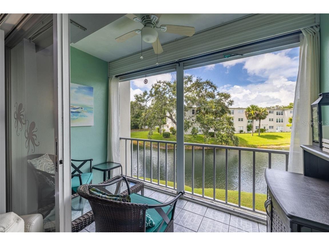 946 Virginia Street #207 Dunedin FL 34698 TB8455147 image19