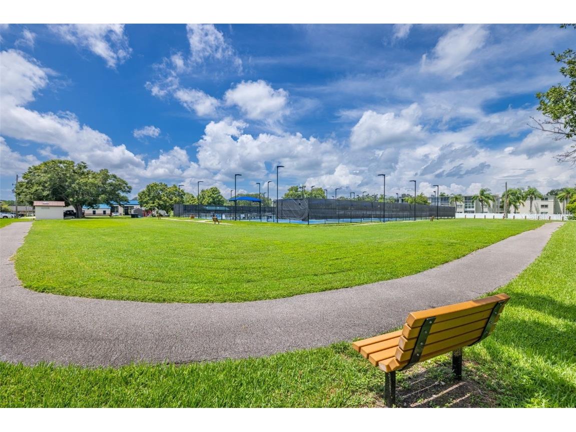 946 Virginia Street #207 Dunedin FL 34698 TB8455147 image34