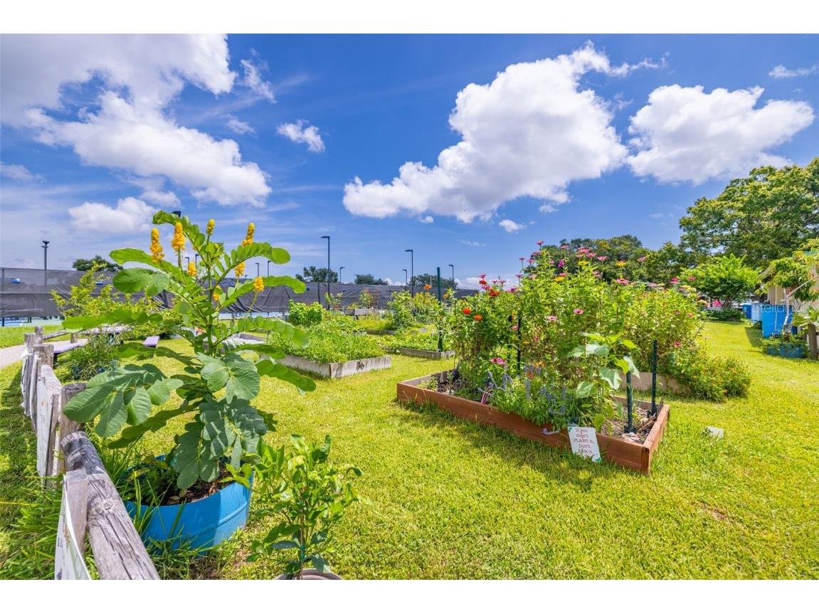 946 Virginia Street #207 Dunedin FL 34698 TB8455147 image36