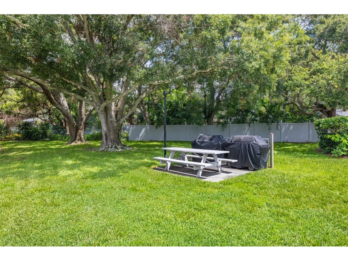 946 Virginia Street #207 Dunedin FL 34698 TB8455147 image41
