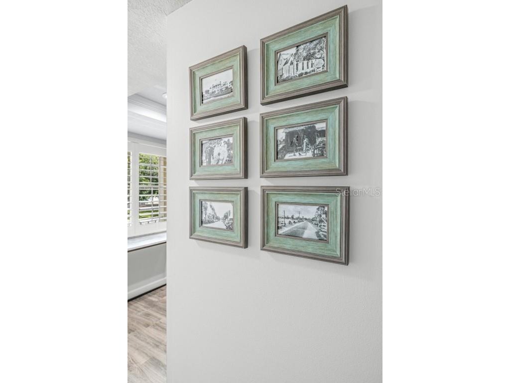 946 Virginia Street #207 Dunedin FL 34698 TB8455147 image6