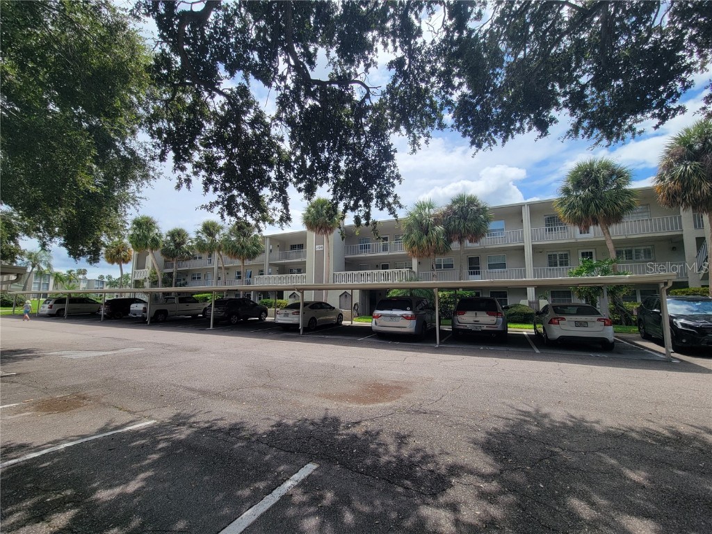 946 Virginia Street #304 Dunedin FL 34698 TB8425531 image1