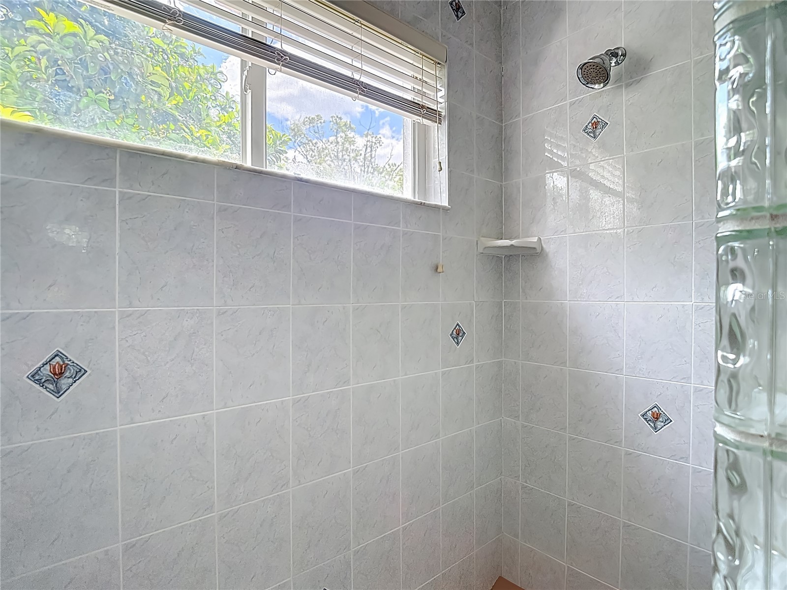 9460 Bearfoot Trail Weeki Wachee FL 34613 TB8496076 image86