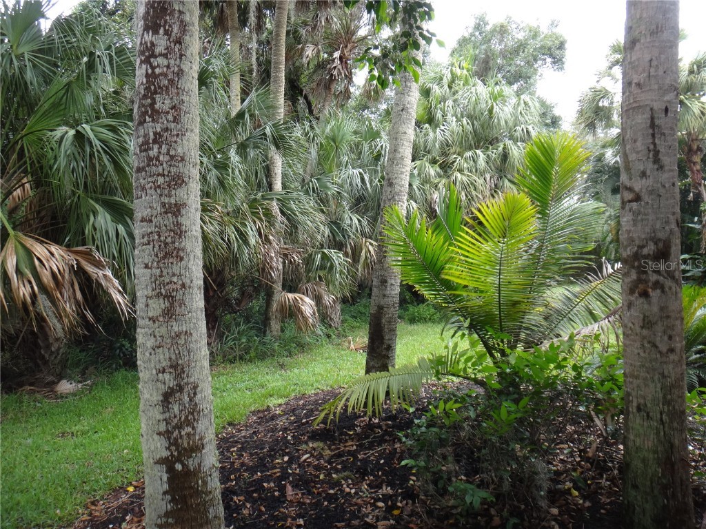 9460 Portside Terrace Bradenton FL 34212 A4674031 image31