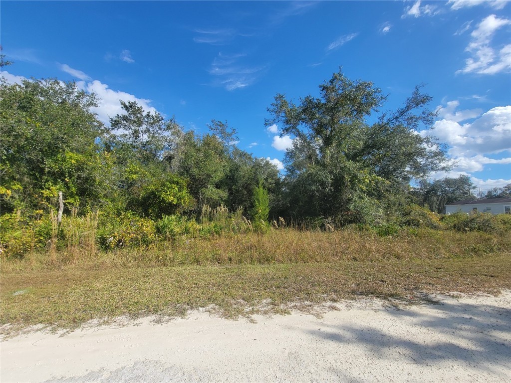 9460 Rousseau Street Webster FL 33597 TB8446413 image2