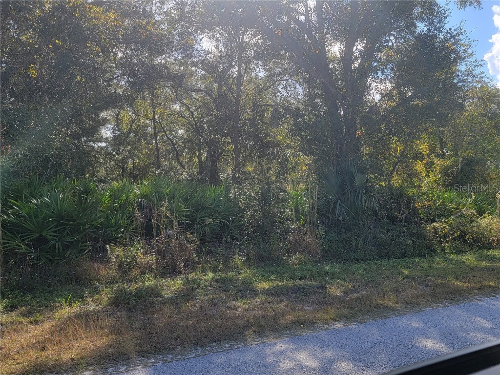 9460 Rousseau Street Webster FL 33597 TB8446413 image4