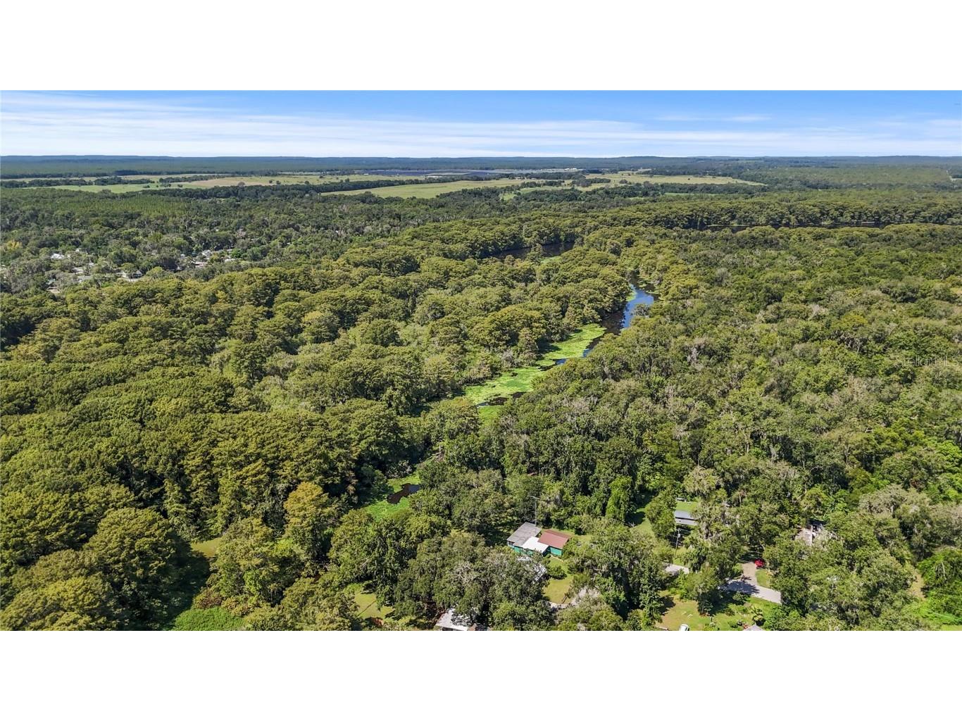 9461 Cr 657 Bushnell FL 33513 - WITHLACOOCHEE RIVER TB8416696 image56