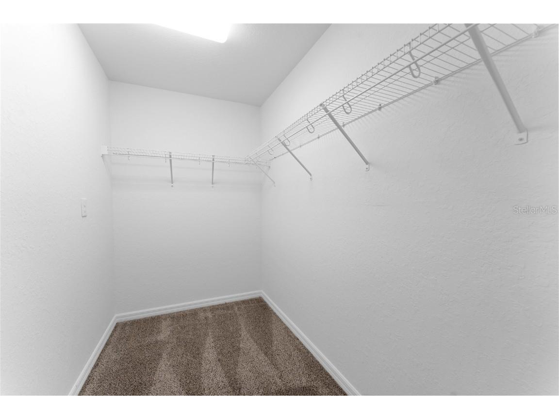 9461 N Sandree Drive Citrus Springs FL 34434 TB8419348 image25