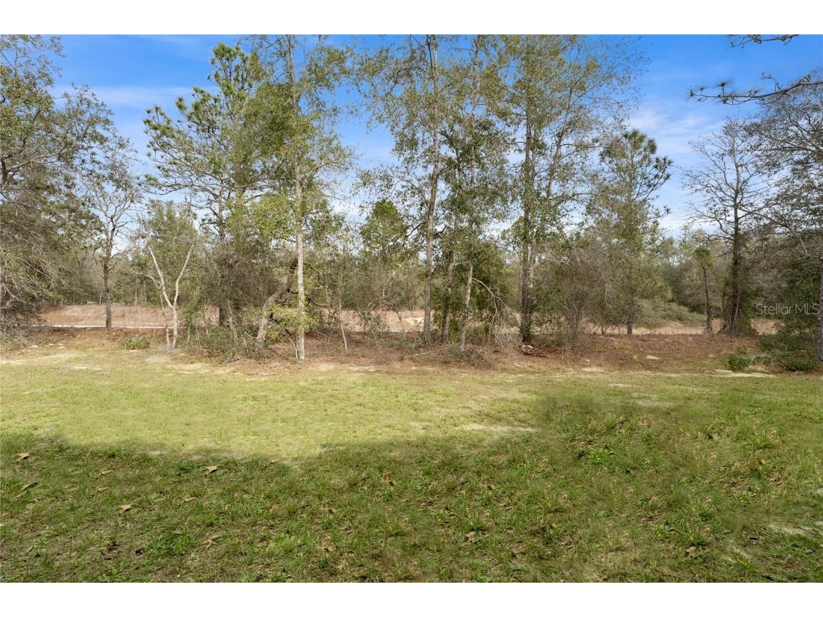 9461 N Sandree Drive Citrus Springs FL 34434 TB8419348 image39